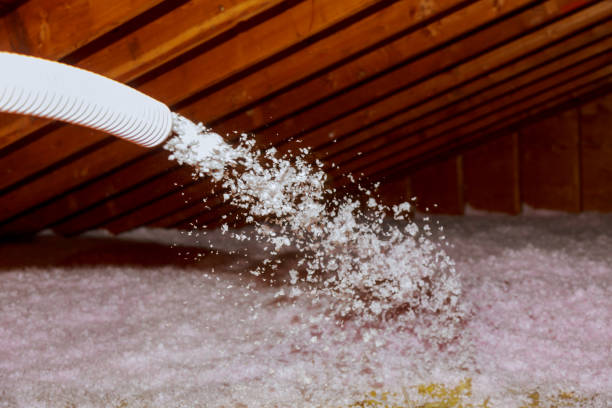 Best Eco-Friendly Insulation in Stevens Point, WI