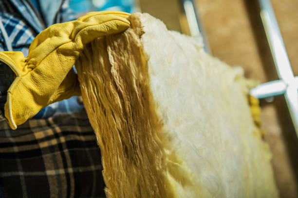 Best DIY Insulation Kits and Guidance in Stevens Point, WI